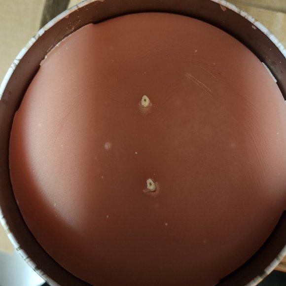 Brand New ! Yankee Candle Outdoor Large Ocean Hibiscus 2-Wick - Picture 4 of 6